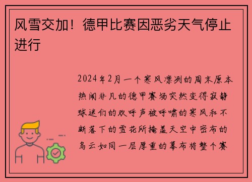 风雪交加！德甲比赛因恶劣天气停止进行